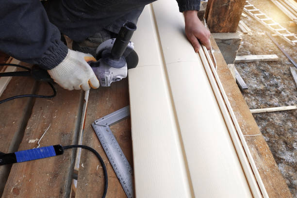 Best James Hardie Siding  in Walsenburg, CO